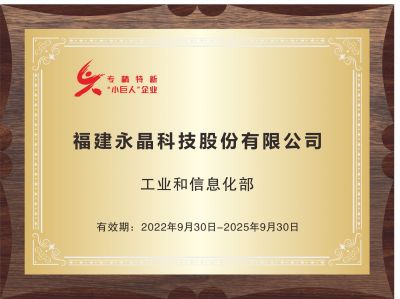 专精特新“小巨人”企业