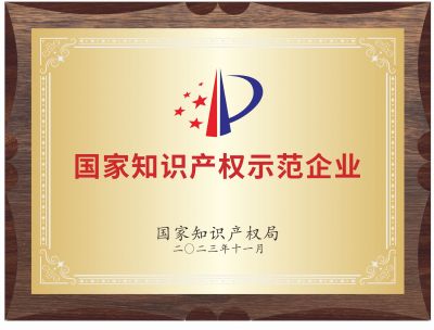 国家知识产权示范企业
